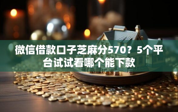 微信借款口子芝麻分570？5个平台试试看哪个能下款