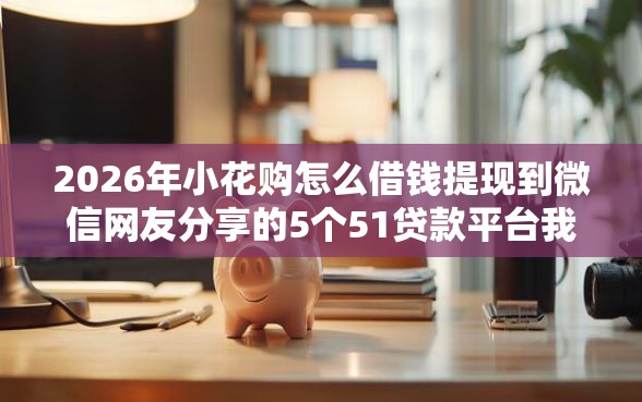 2026年小花购怎么借钱提现到微信网友分享的5个51贷款平台我觉得不错！