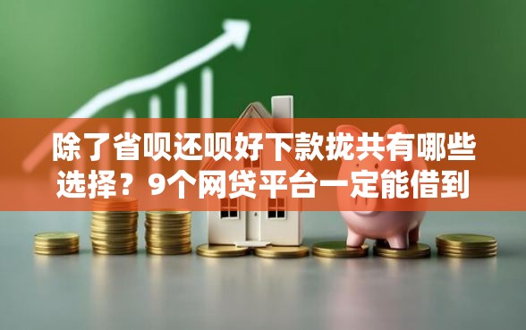 除了省呗还呗好下款拢共有哪些选择？9个网贷平台一定能借到钱详解