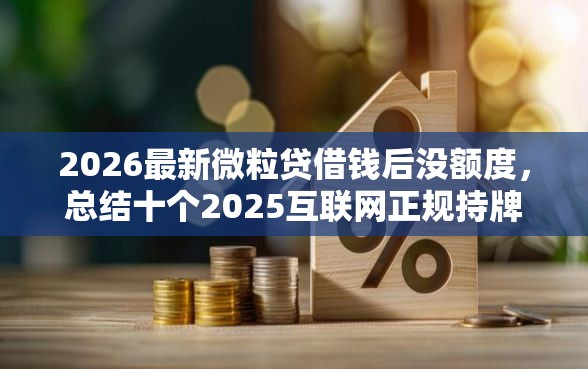 2026最新微粒贷借钱后没额度，总结十个2025互联网正规持牌贷款平台！