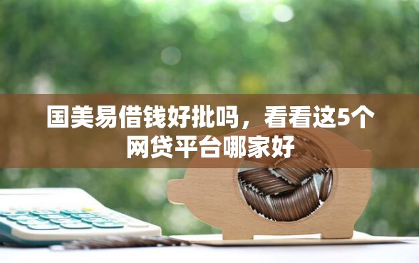 国美易借钱好批吗，看看这5个网贷平台哪家好