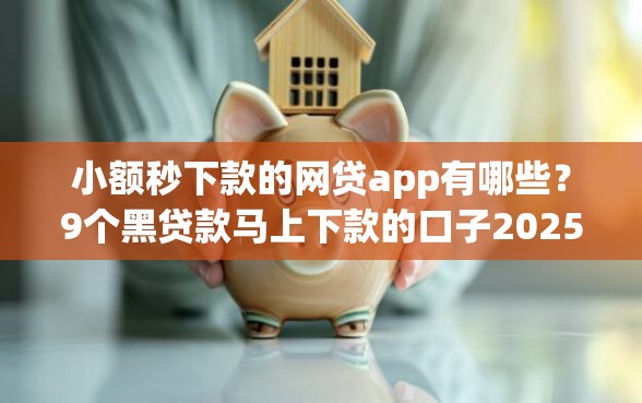 小额秒下款的网贷app有哪些？9个黑贷款马上下款的口子2025推荐给你
