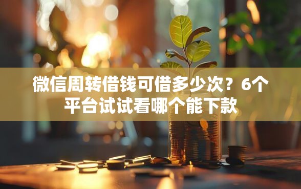 微信周转借钱可借多少次？6个平台试试看哪个能下款