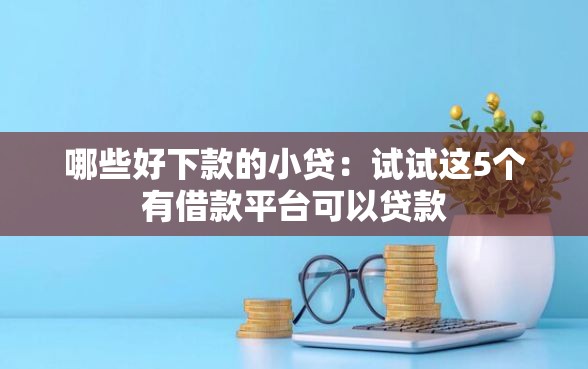 哪些好下款的小贷：试试这5个有借款平台可以贷款