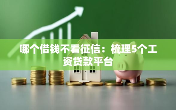 哪个借钱不看征信：梳理5个工资贷款平台