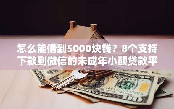 怎么能借到5000块钱？8个支持下款到微信的未成年小额贷款平台