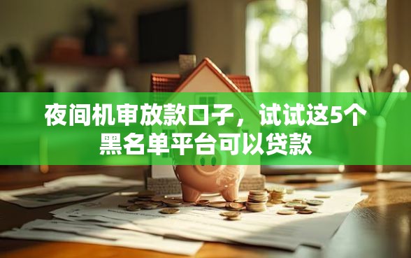 夜间机审放款口子，试试这5个黑名单平台可以贷款