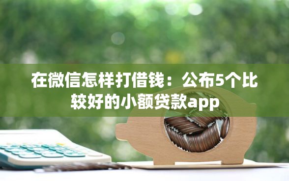 在微信怎样打借钱：公布5个比较好的小额贷款app