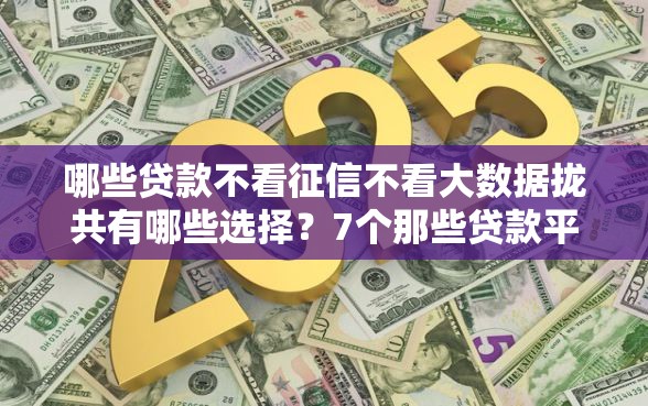 哪些贷款不看征信不看大数据拢共有哪些选择？7个那些贷款平台可靠详解
