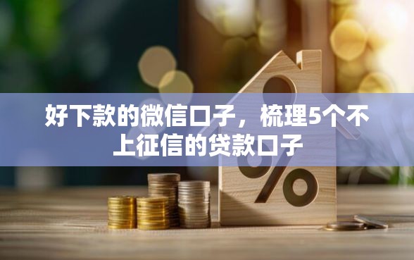 好下款的微信口子，梳理5个不上征信的贷款口子