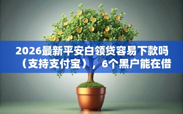 2026最新平安白领贷容易下款吗（支持支付宝），6个黑户能在借款平台借到钱无私分享