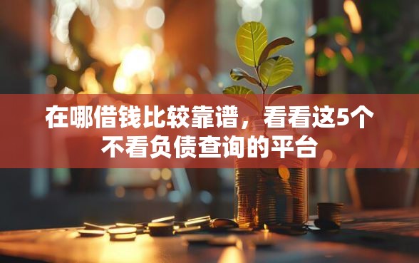 在哪借钱比较靠谱，看看这5个不看负债查询的平台