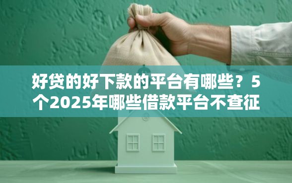 好贷的好下款的平台有哪些？5个2025年哪些借款平台不查征信大数据推荐给你
