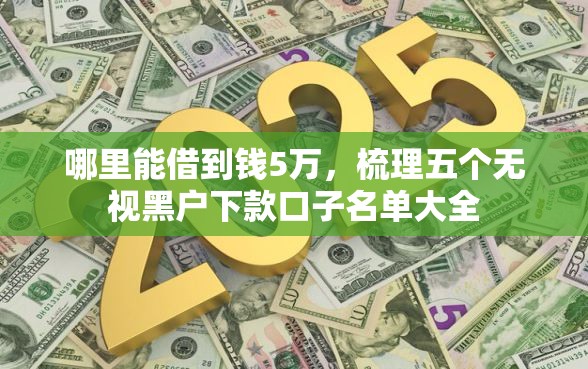 哪里能借到钱5万，梳理五个无视黑户下款口子名单大全