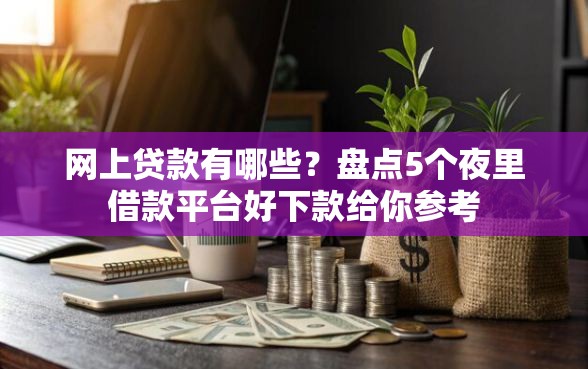 网上贷款有哪些？盘点5个夜里借款平台好下款给你参考