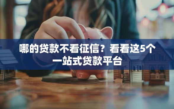 哪的贷款不看征信?看看这5个一站式贷款平台 哪的贷款不看征信?看看这5个一站式贷款平台