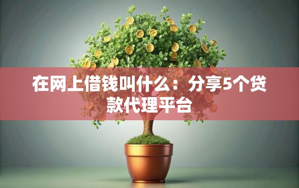 在网上借钱叫什么：分享5个贷款代理平台