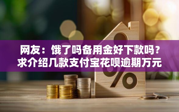 网友：饿了吗备用金好下款吗？求介绍几款支付宝花呗逾期万元快速贷款平台