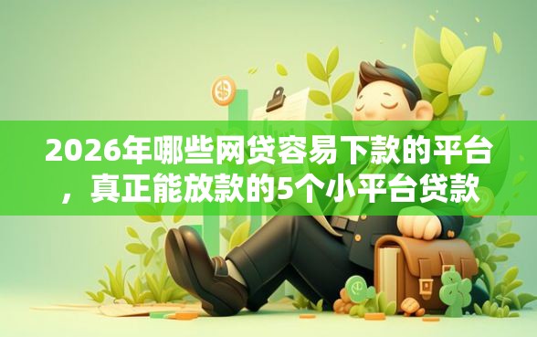 2026年哪些网贷容易下款的平台，真正能放款的5个小平台贷款推荐