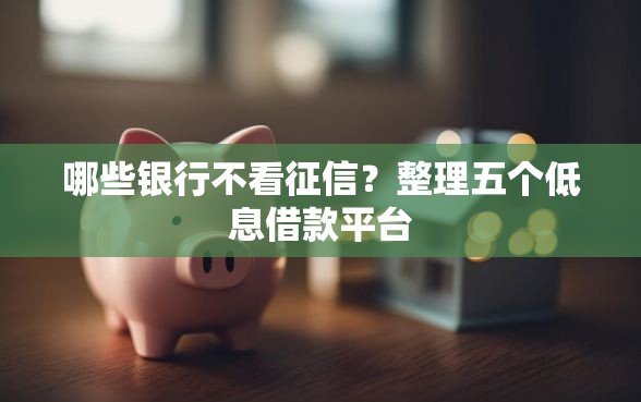 哪些银行不看征信？整理五个低息借款平台