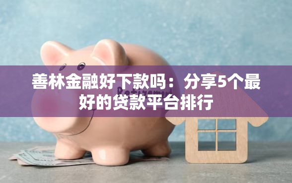 善林金融好下款吗：分享5个最好的贷款平台排行