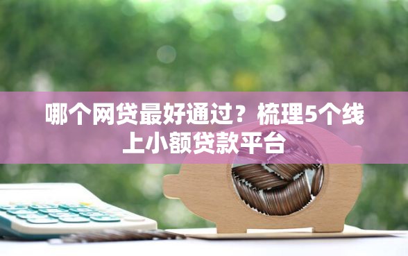 哪个网贷最好通过？梳理5个线上小额贷款平台