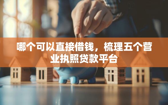哪个可以直接借钱，梳理五个营业执照贷款平台