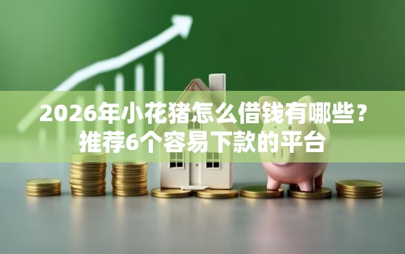 2026年小花猪怎么借钱有哪些？推荐6个容易下款的平台