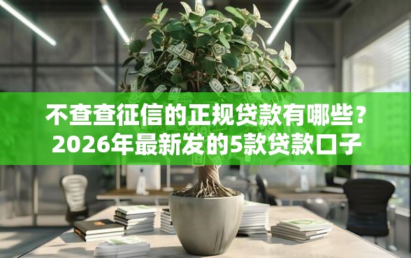 不查查征信的正规贷款有哪些？2026年最新发的5款贷款口子