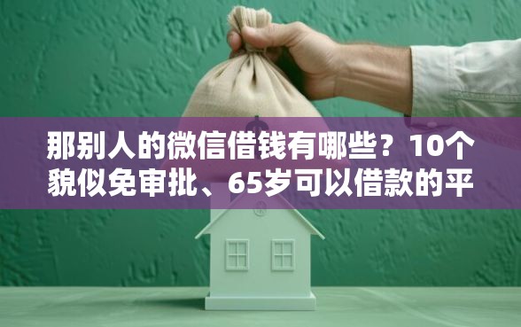 那别人的微信借钱有哪些？10个貌似免审批、65岁可以借款的平台合集