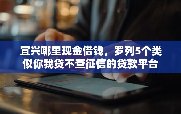 宜兴哪里现金借钱，罗列5个类似你我贷不查征信的贷款平台