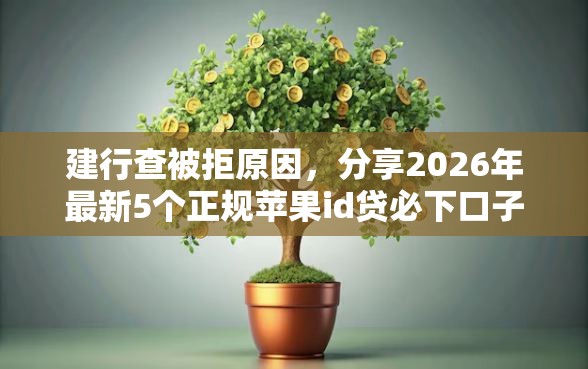 建行查被拒原因，分享2026年最新5个正规苹果id贷必下口子