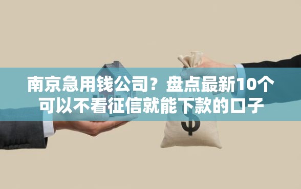南京急用钱公司？盘点最新10个可以不看征信就能下款的口子