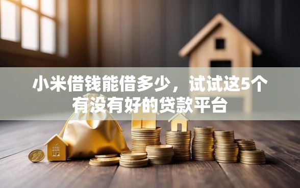 小米借钱能借多少，试试这5个有没有好的贷款平台