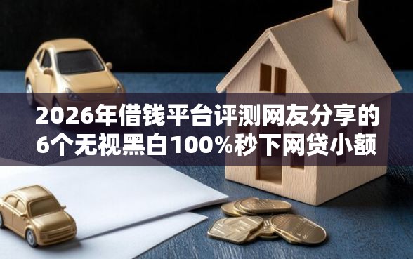 2026年借钱平台评测网友分享的6个无视黑白100%秒下网贷小额夜间口子我觉得不错！