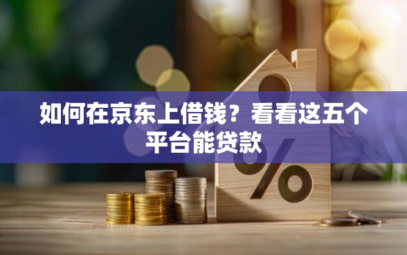 如何在京东上借钱？看看这五个平台能贷款