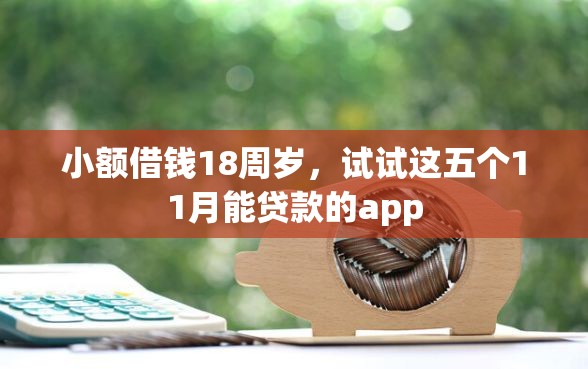 小额借钱18周岁，试试这五个11月能贷款的app