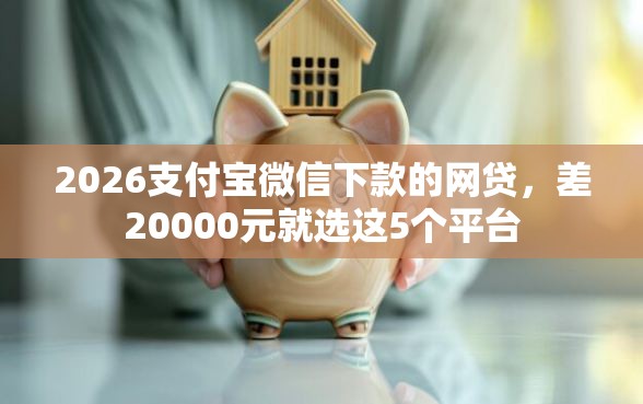 2026支付宝微信下款的网贷，差20000元就选这5个平台