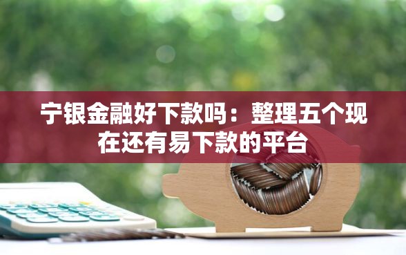 宁银金融好下款吗：整理五个现在还有易下款的平台