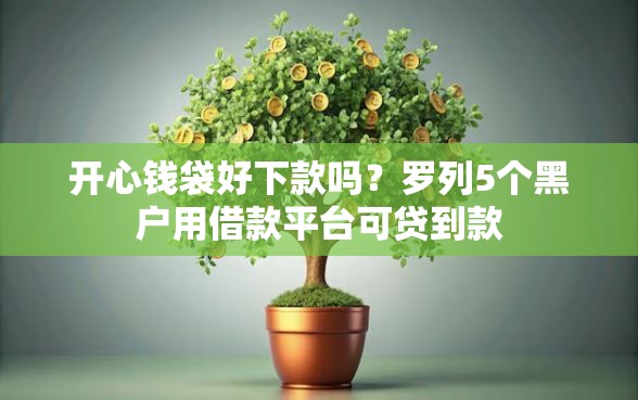 开心钱袋好下款吗？罗列5个黑户用借款平台可贷到款