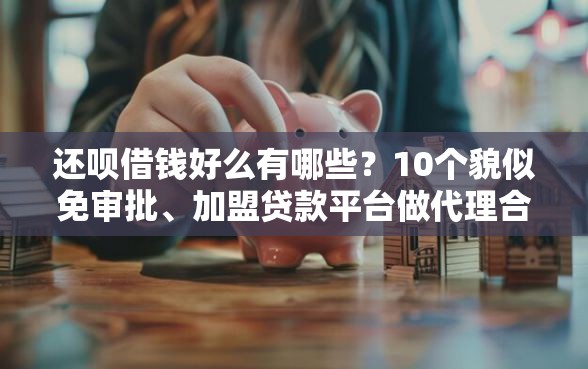 还呗借钱好么有哪些？10个貌似免审批、加盟贷款平台做代理合集