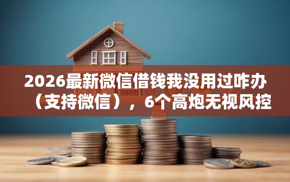 2026最新微信借钱我没用过咋办（支持微信），6个高炮无视风控逾期也下款的口子无私分享