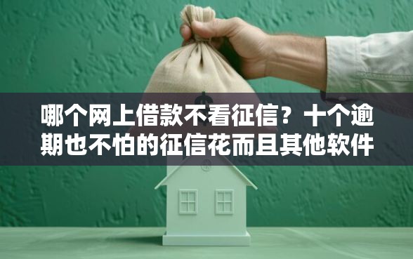 哪个网上借款不看征信？十个逾期也不怕的征信花而且其他软件借不出钱了还可以借到钱100%通过的平台