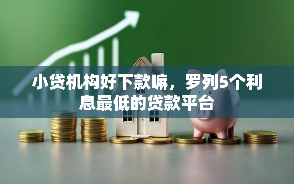 小贷机构好下款嘛，罗列5个利息最低的贷款平台