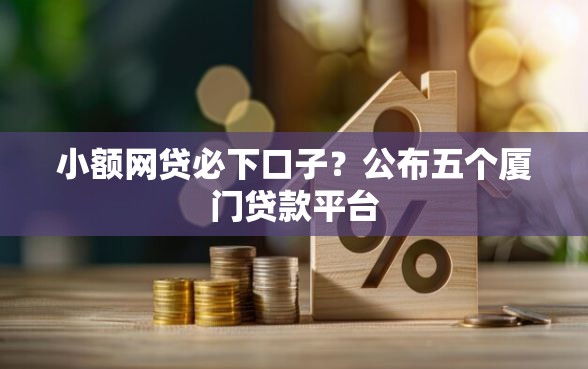 小额网贷必下口子？公布五个厦门贷款平台