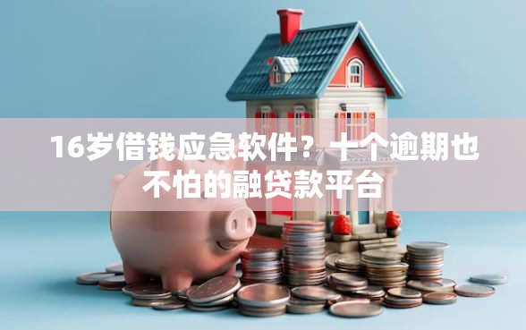 16岁借钱应急软件？十个逾期也不怕的融贷款平台