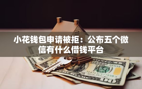 小花钱包申请被拒:公布五个微信有什么借钱平台 小花钱包申请被拒:公布五个微信有什么借钱平台