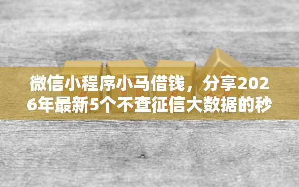 微信小程序小马借钱，分享2026年最新5个不查征信大数据的秒下款平台