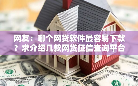 网友：哪个网贷软件最容易下款？求介绍几款网贷征信查询平台