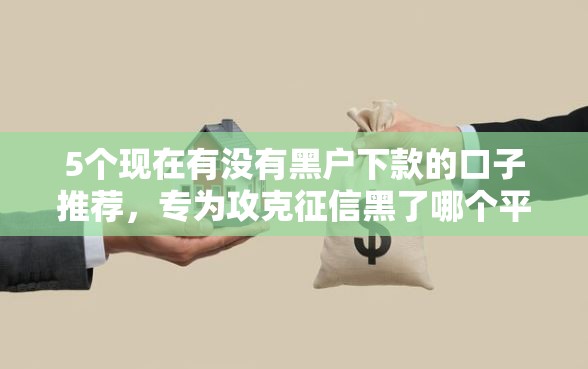 5个现在有没有黑户下款的口子推荐，专为攻克征信黑了哪个平台可以借钱应急难题